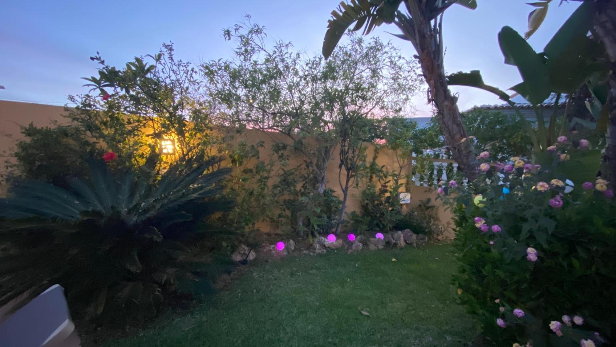 Villa Rafaela Com Piscina 阿尔布费拉 外观 照片
